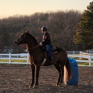 Meet your Posher, Alex